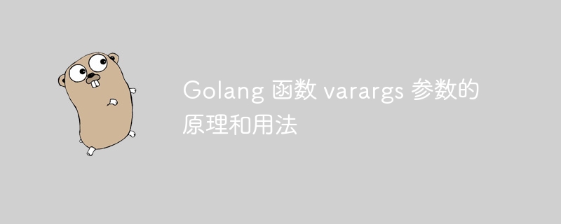 Golang 函数 varargs 参数的原理和用法