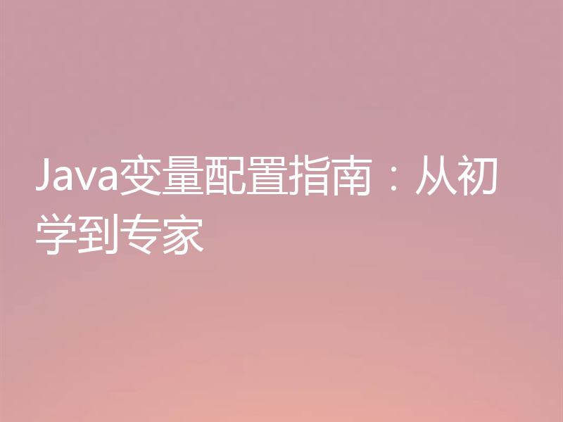 Java变量配置指南：从初学到专家