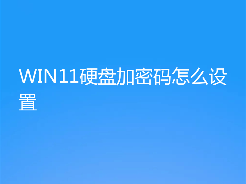 WIN11硬盘加密码怎么设置