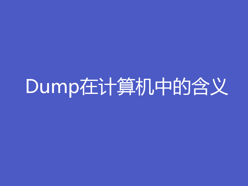 Dump在计算机中的含义