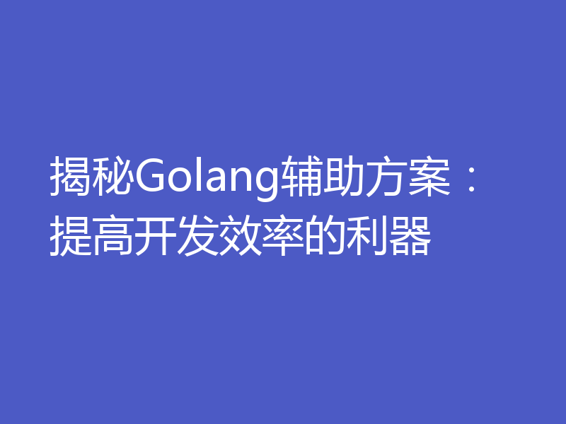 揭秘Golang辅助方案：提高开发效率的利器