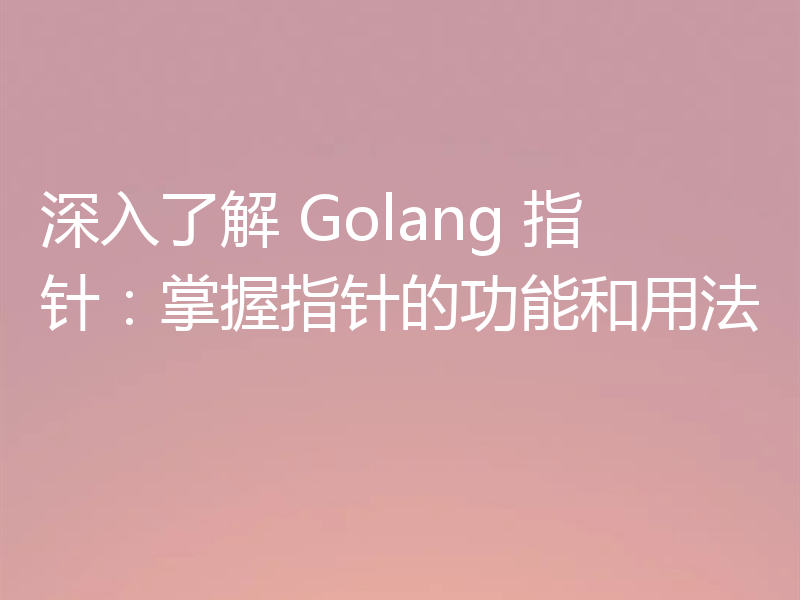 深入了解 Golang 指针：掌握指针的功能和用法