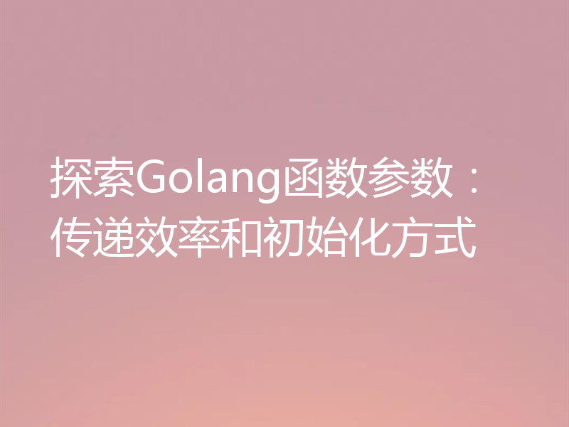 探索Golang函数参数：传递效率和初始化方式