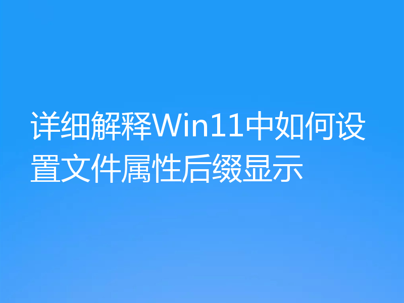 详细解释Win11中如何设置文件属性后缀显示