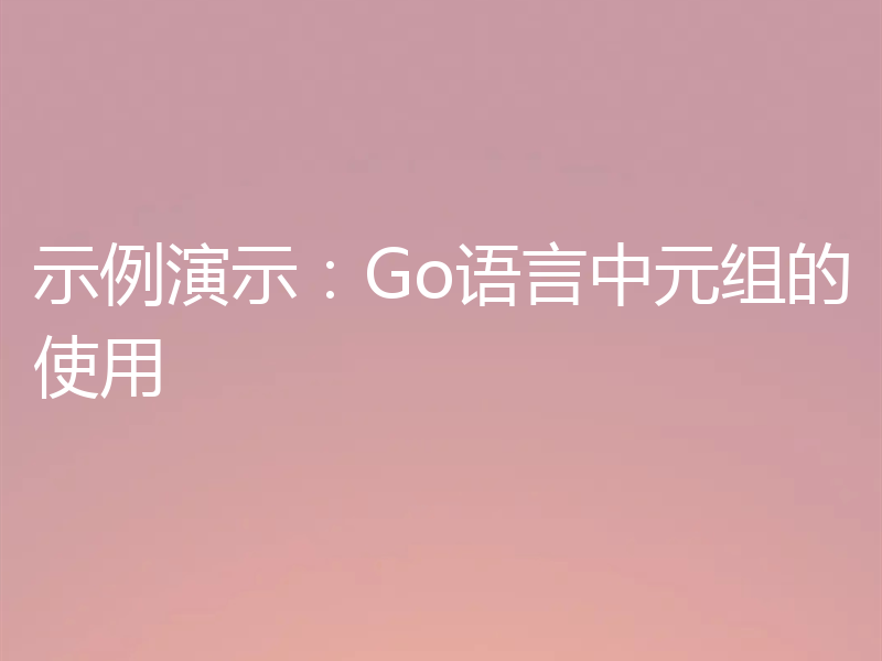 示例演示：Go语言中元组的使用