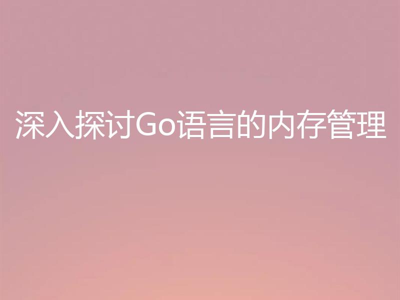 深入探讨Go语言的内存管理