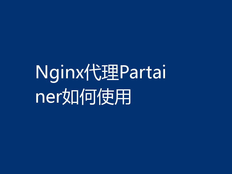 Nginx代理Partainer如何使用