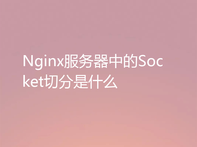 Nginx服务器中的Socket切分是什么