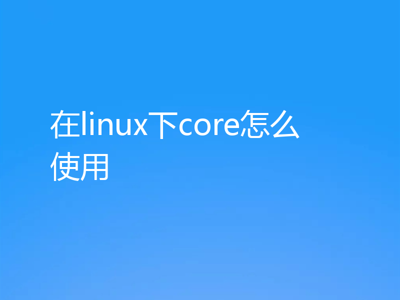 在linux下core怎么使用