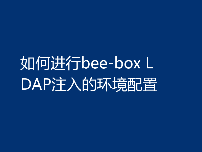 如何进行bee-box LDAP注入的环境配置