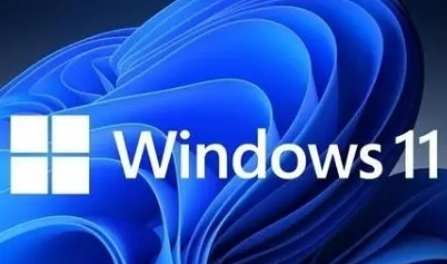 win11business和consumer版本区别