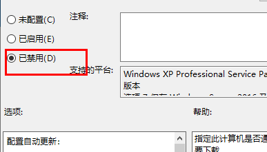 win11禁止自动更新