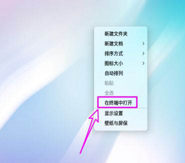 deepin20子网掩码在哪? deepin查看子网掩码的技巧