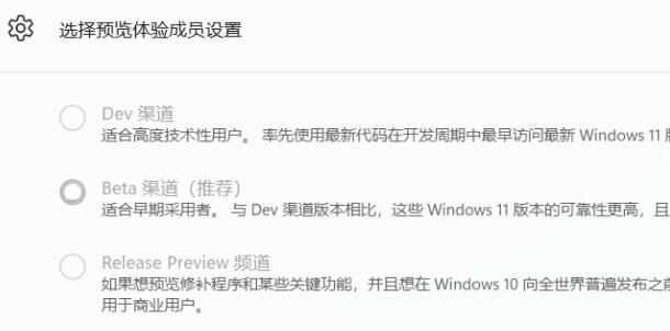 win11体验成员设置教程