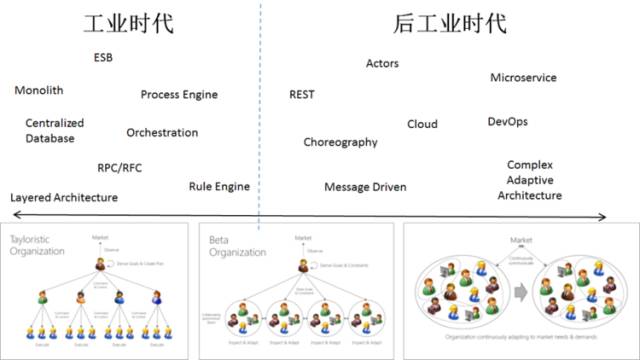 企业的组织架构对技术架构的影响