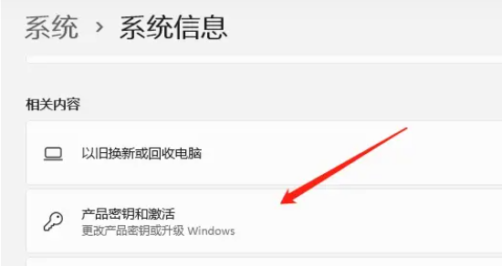 Windows11家庭版转换为专业版