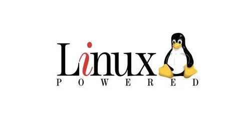 处理Linux中device is busy错误的方法