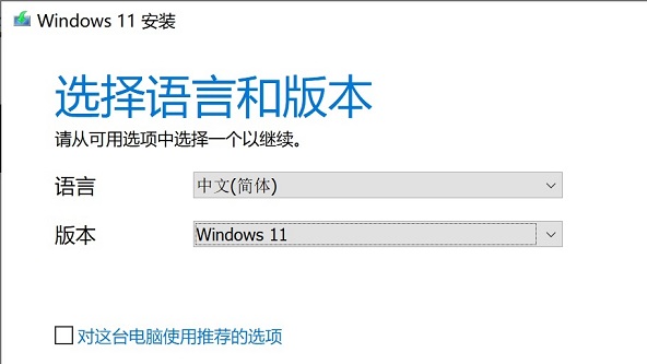 win11安装怎么选家庭版