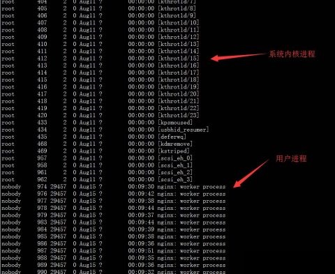 10个运维人员需要知道的”系统进程”