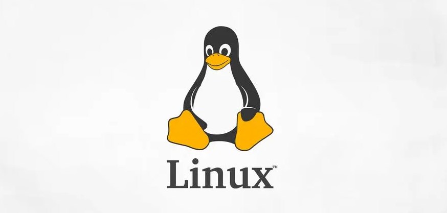 处理变量的 Linux 调试器技巧