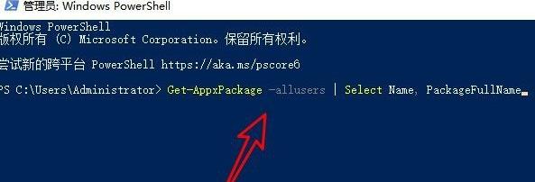 win11应用商店点了没反应解决方法