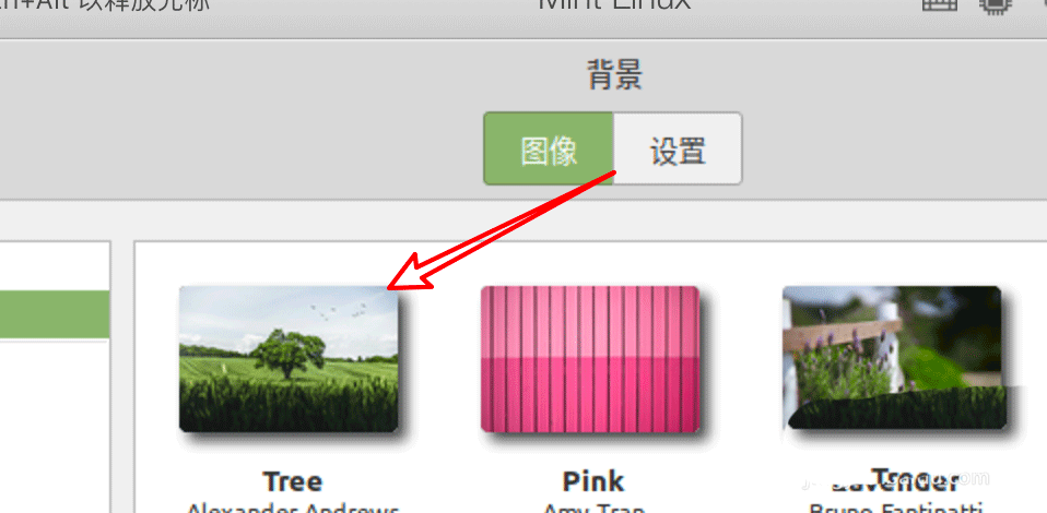 Linux Mint系统背景图片怎么更换? Linux更换桌面背景的技巧