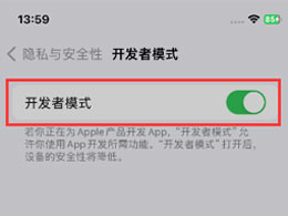 如何在iOS17.2.1正式版中启用开发者模式？