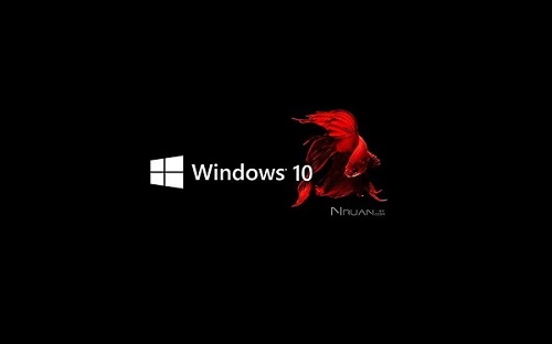 win101903更新卡在27%解决方法