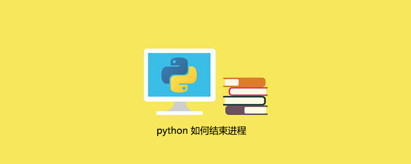 python 如何结束进程