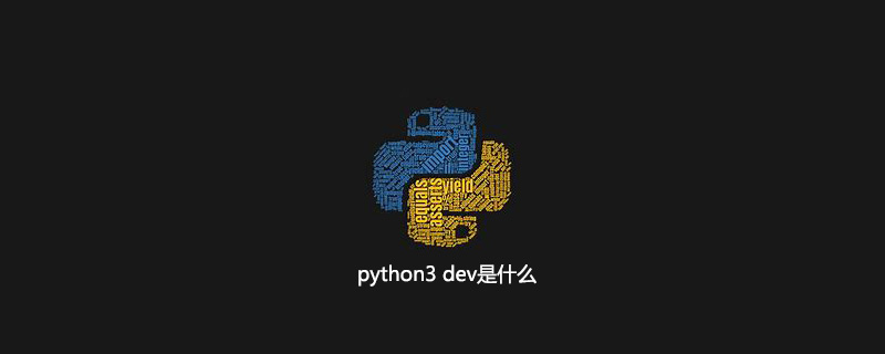 python3 dev是什么