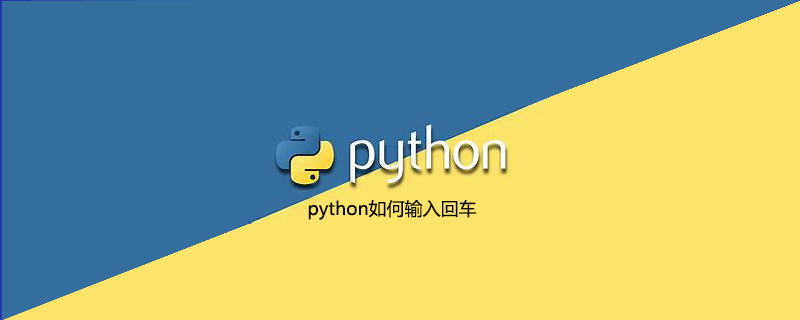 python如何输入回车