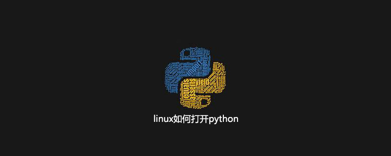 linux如何打开python