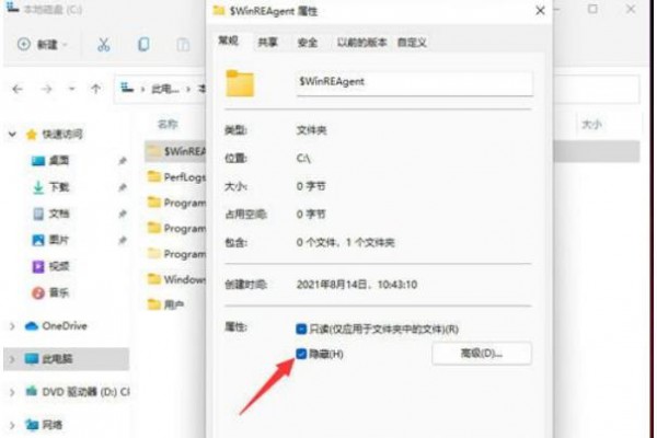 Win11隐藏文件怎么显示出来？win11隐藏文件显示设置教程