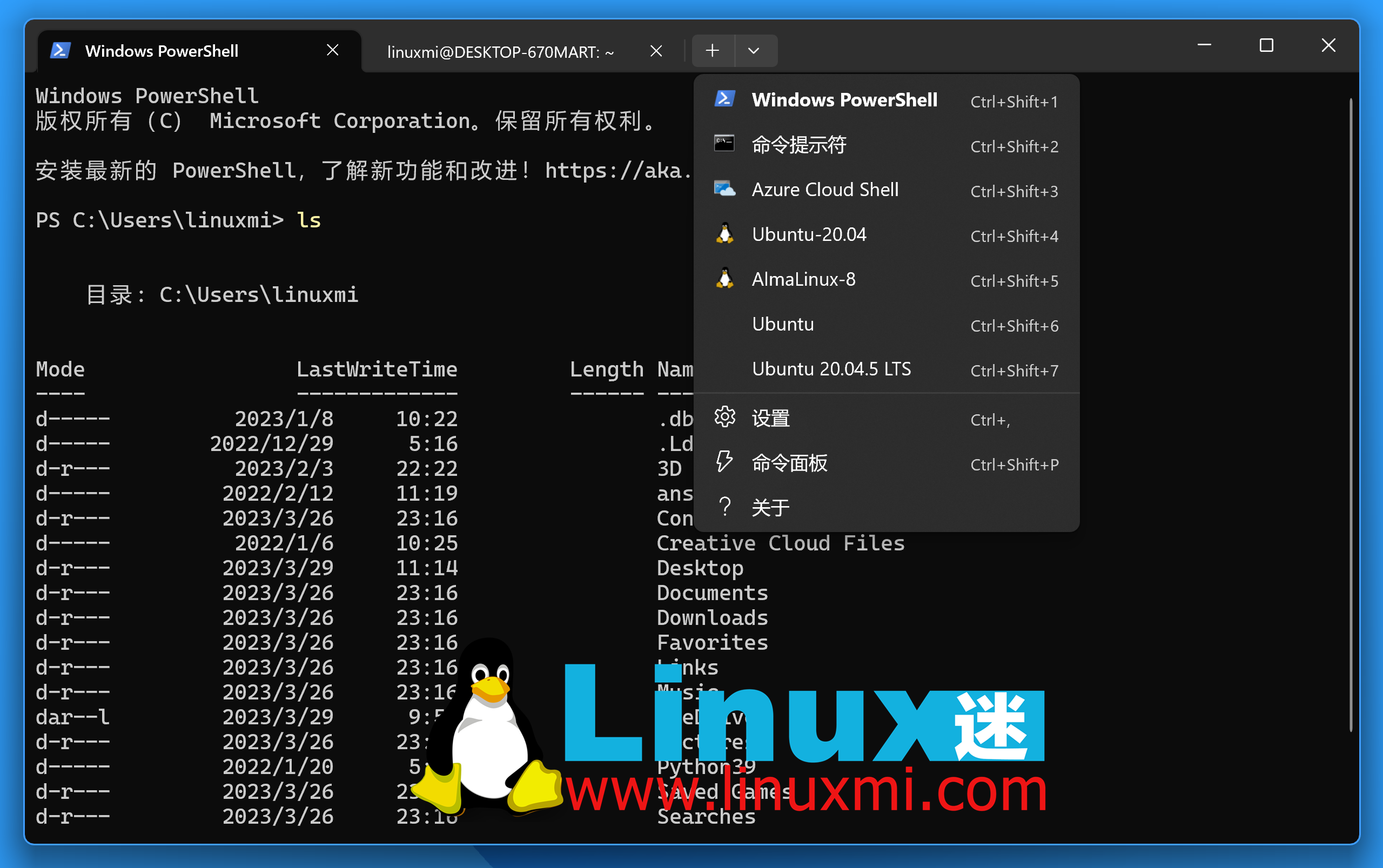 何时应该考虑使用 WSL 而不是标准 Linux 发行版？