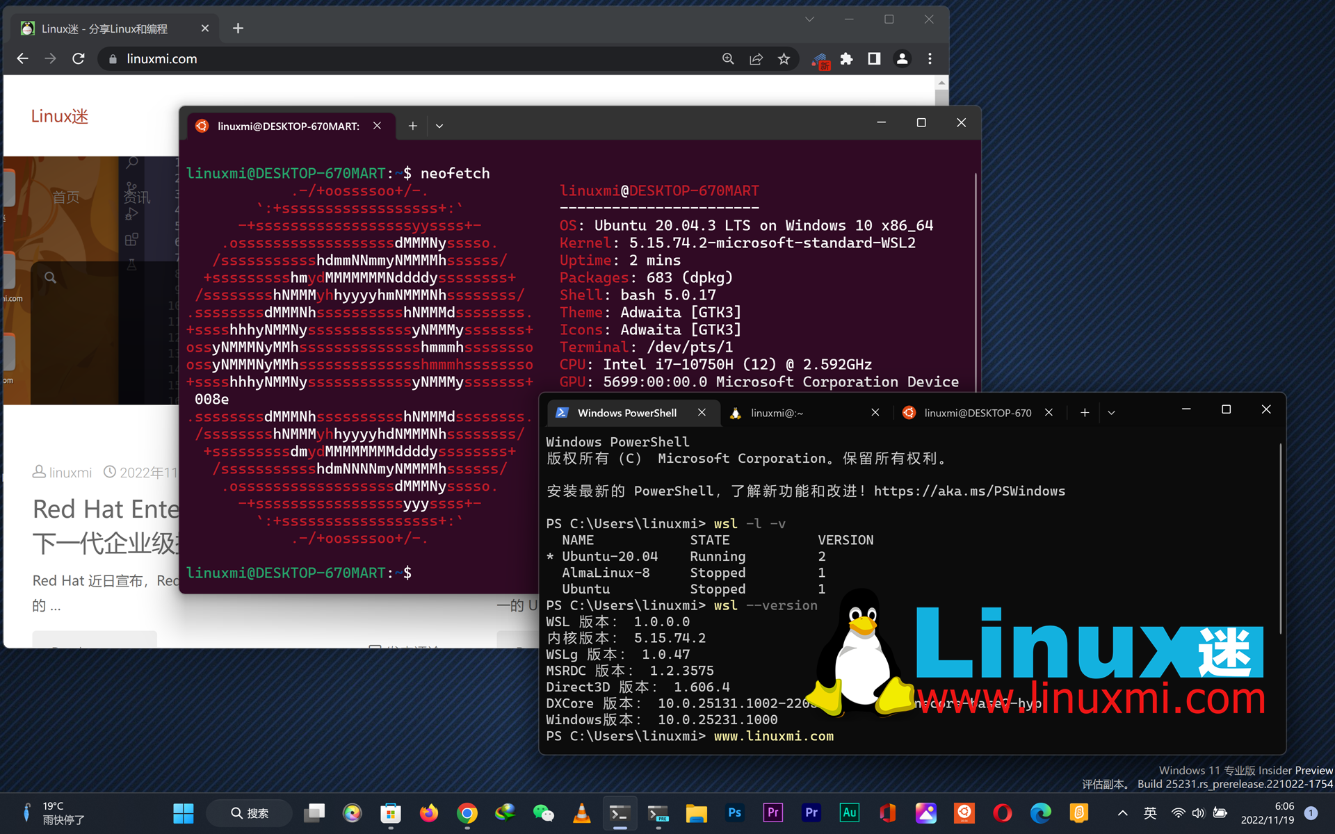 何时应该考虑使用 WSL 而不是标准 Linux 发行版？