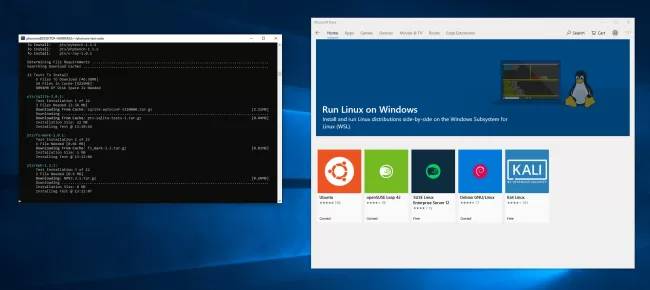 微软将适用于 Linux“WSL”的 Windows 子系统提升至 GA 状态