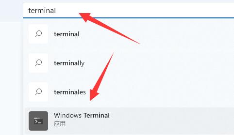 Win11提示找不到wt.exe文件解决方法？Win11提示没有wt.exe文件解决方法