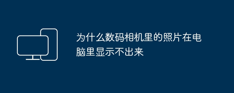 为什么数码相机里的照片在电脑里显示不出来