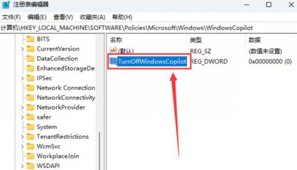 Win11怎么彻底关闭Windows Copilot？关闭Windows Copilot的方法