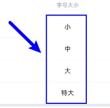 懂车帝怎么更改字体大小