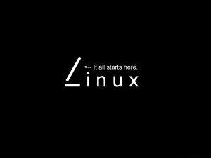 Linux手误rm可能不需要跑路