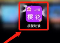 樱花动漫怎么进行意见反馈