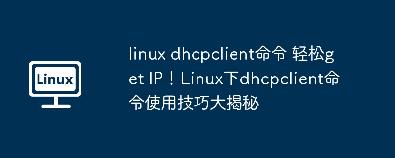 linux dhcpclient命令 轻松get IP！Linux下dhcpclient命令使用技巧大揭秘