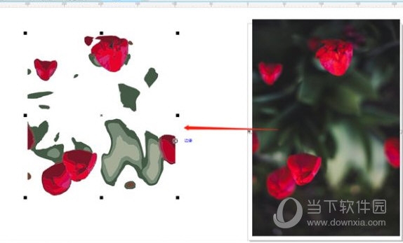 CorelDRAW抠图后怎么删除多余部分 简单几步轻松搞定