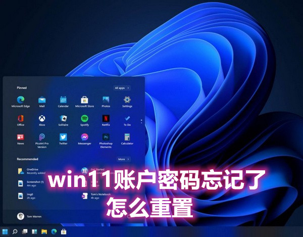 win11账户密码忘记了怎么重置？分享简单快捷的重置方法