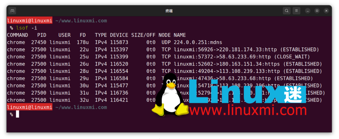 如何监控 Linux 上进程的网络使用情况