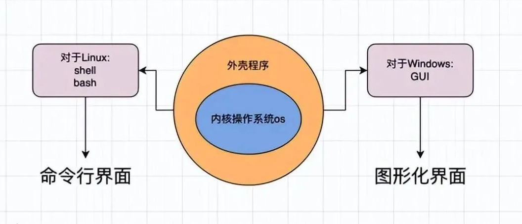 shell 运行原理和 Linux 权限详解