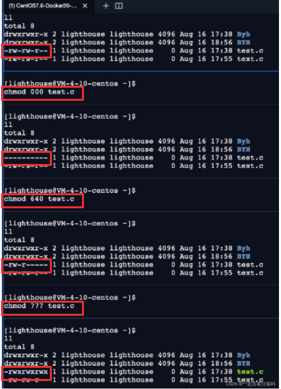 shell 运行原理和 Linux 权限详解