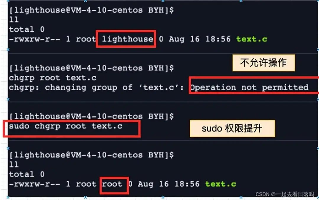 shell 运行原理和 Linux 权限详解