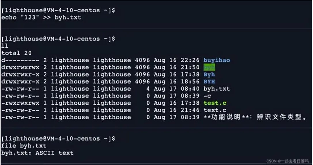 shell 运行原理和 Linux 权限详解